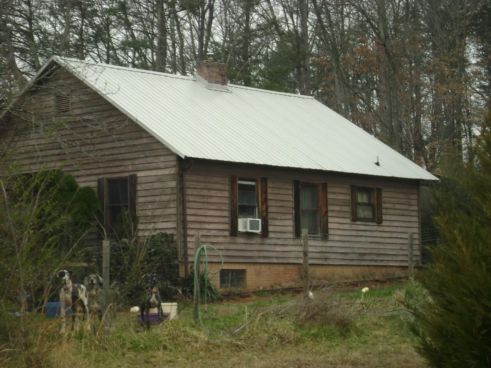 White metal roof on an old wood sided farmhouse, from a Asphalt Shingle Roof Repair job in Arlington